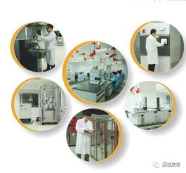 為金發科技研發團隊點贊 亞太第一、全球第二的環?？萍枷蠕h