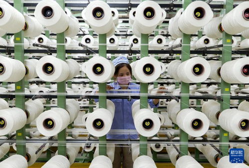 新華全媒 丨河南傳統(tǒng)產(chǎn)業(yè)向“新”而行 以環(huán)保科技開(kāi)辟轉(zhuǎn)型新賽道